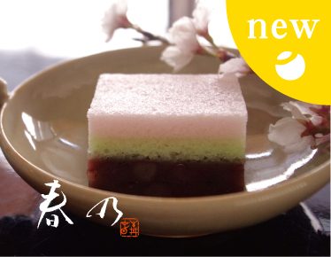 季節銘菓　春　春乃